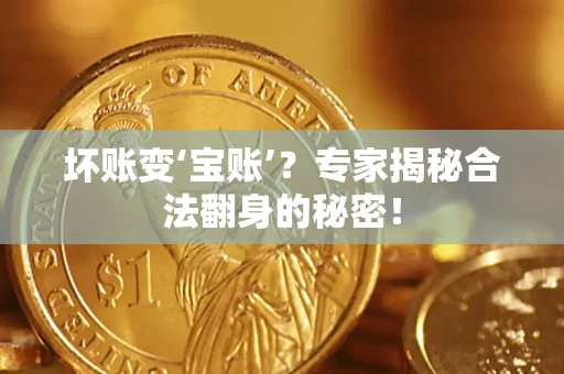 北京坏账变‘宝账’？专家揭秘合法翻身的秘密！