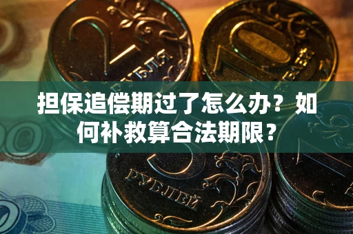 北京担保追偿期过了怎么办？如何补救算合法期限？
