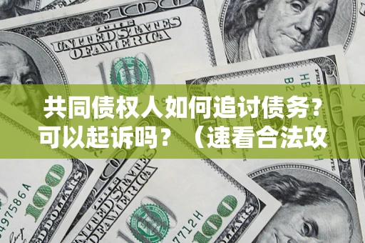北京共同债权人如何追讨债务？可以起诉吗？（速看合法攻略）