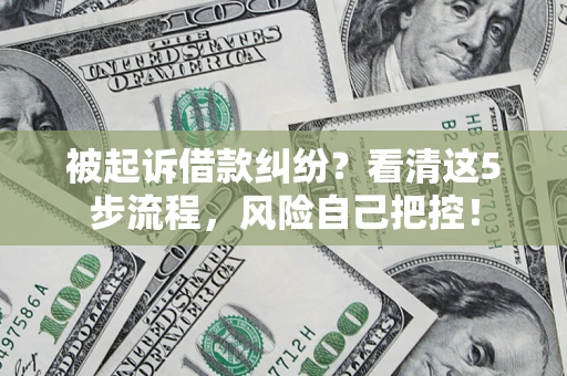 北京被起诉借款纠纷？看清这5步流程，风险自己把控！